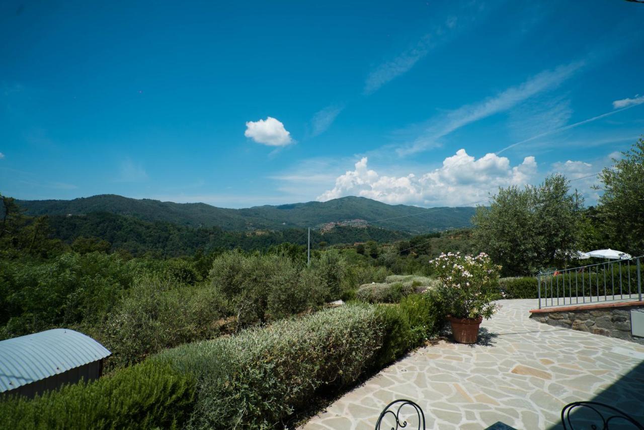Luxury Villa In Tuscany - Casa Di Nonnas Пешя Екстер'єр фото